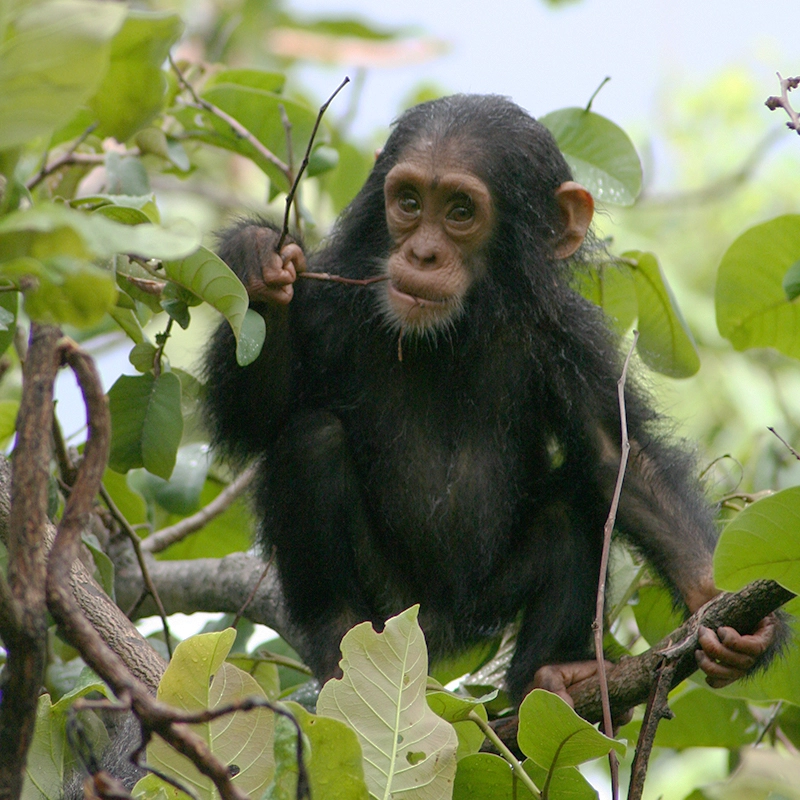 home-basel-institute-learn